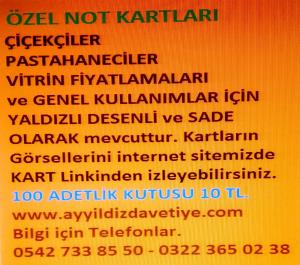 Özel Not Kartları